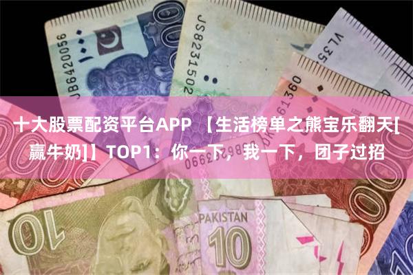 十大股票配资平台APP 【生活榜单之熊宝乐翻天[赢牛奶]】TOP1：你一下，我一下，团子过招