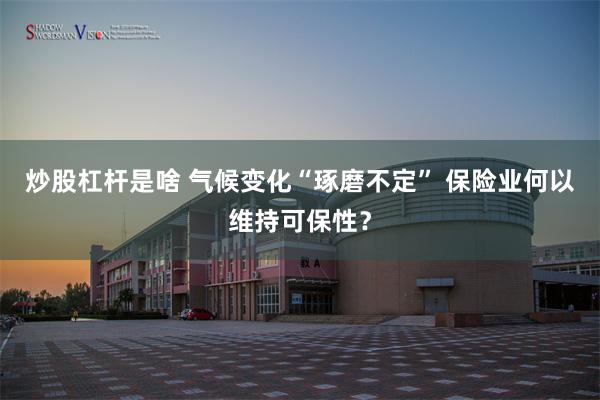 炒股杠杆是啥 气候变化“琢磨不定” 保险业何以维持可保性？