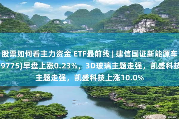 股票如何看主力资金 ETF最前线 | 建信国证新能源车电池ETF(159775)早盘上涨0.23%，3D玻璃主题走强，凯盛科技上涨10.0%