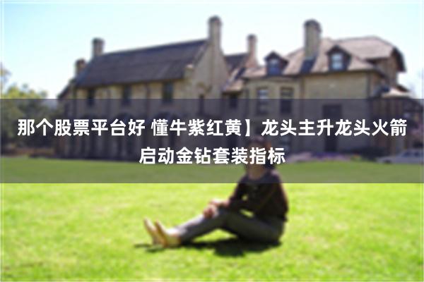那个股票平台好 懂牛紫红黄】龙头主升龙头火箭启动金钻套装指标