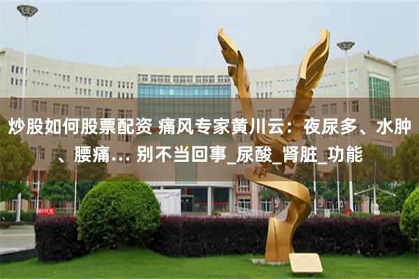 炒股如何股票配资 痛风专家黄川云：夜尿多、水肿、腰痛… 别不当回事_尿酸_肾脏_功能