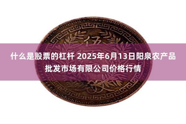 什么是股票的杠杆 2025年6月13日阳泉农产品批发市场有限公司价格行情