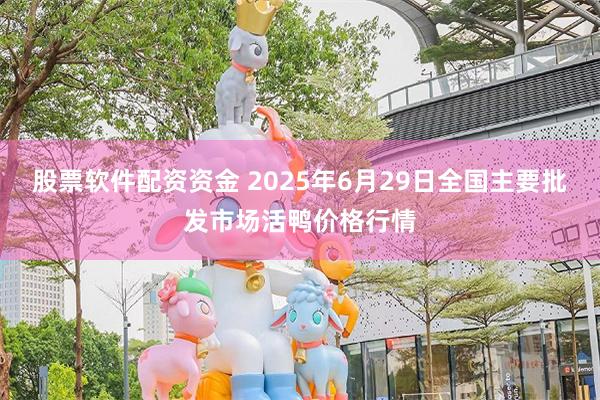 股票软件配资资金 2025年6月29日全国主要批发市场活鸭价格行情